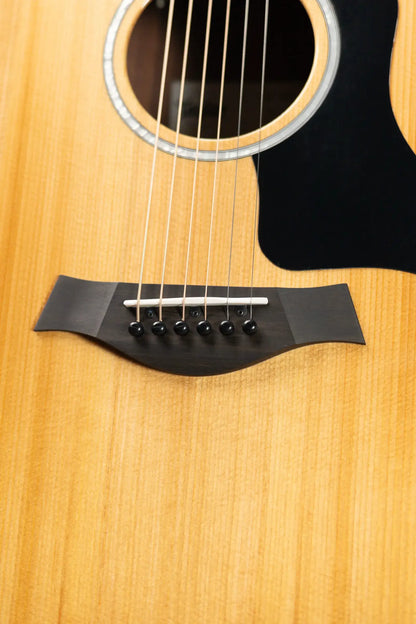 Taylor 210ce Plus Dreadnought Acoustic/Electric Guitar with Aerocase