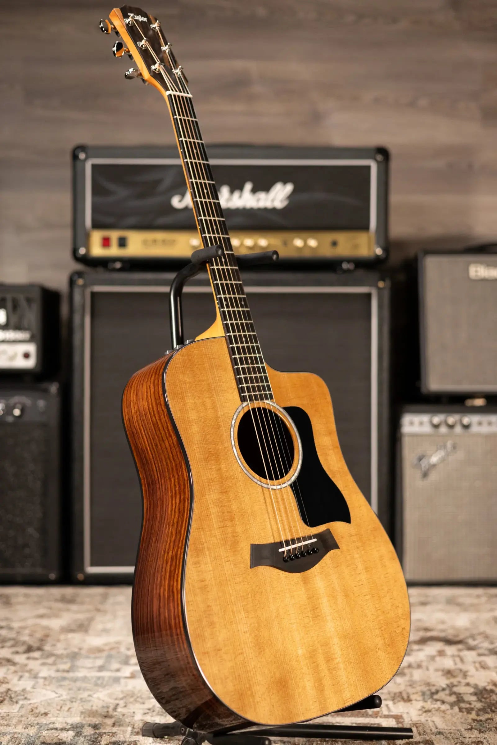 Taylor 210ce Plus Dreadnought Acoustic/Electric Guitar with Aerocase
