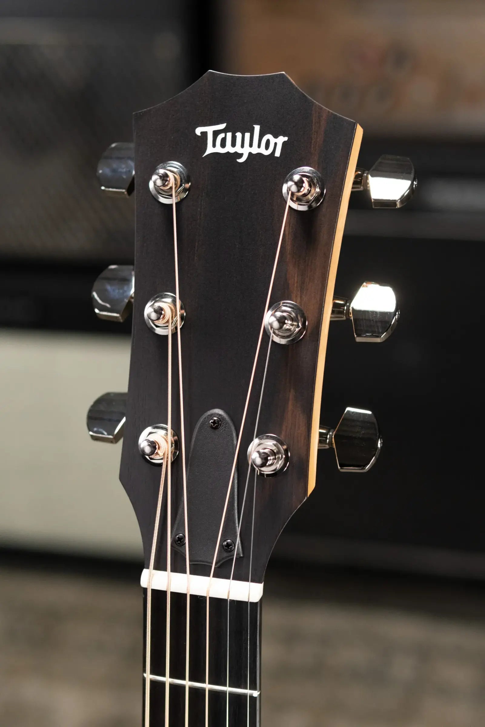 Taylor 210ce Plus Dreadnought Acoustic/Electric Guitar with Aerocase