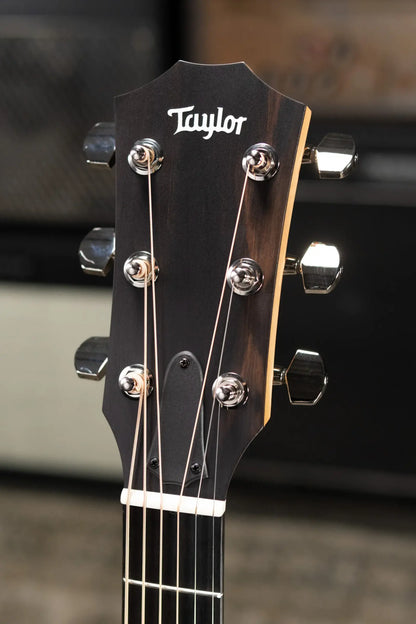 Taylor 210ce Plus Dreadnought Acoustic/Electric Guitar with Aerocase