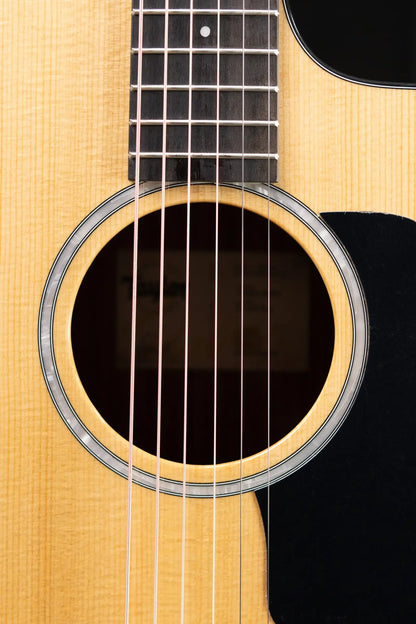 Taylor 210ce Plus Dreadnought Acoustic/Electric Guitar with Aerocase