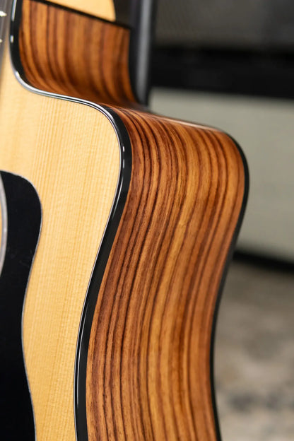 Taylor 210ce Plus Dreadnought Acoustic/Electric Guitar with Aerocase