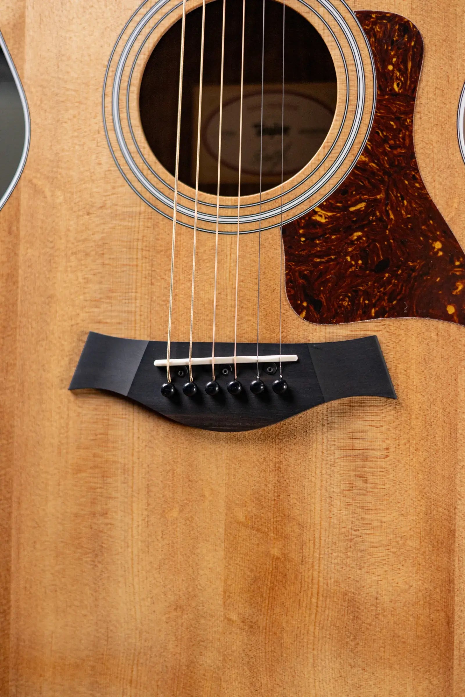 Taylor 212ce Grand Concert Acoustic/Electric Guitar with Gig Bag