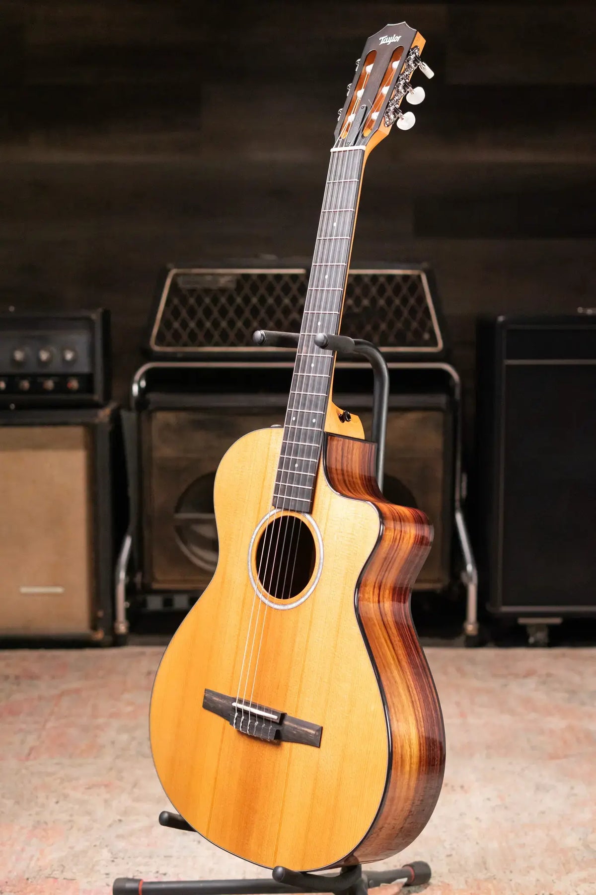 Taylor 212ce-N Plus Nylon Grand Concert Acoustic/Electric Guitar with Aerocase - Demo
