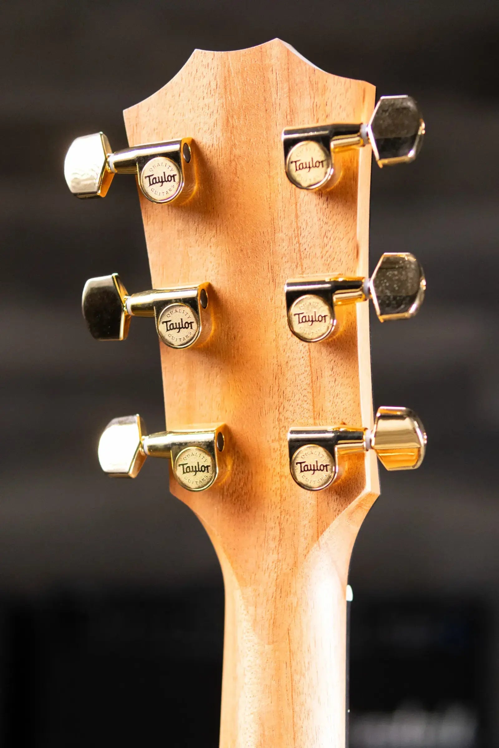 Taylor 214ce DLX Sunset Blvd Grand Auditorium Acoustic/Electric Guitar - Sepia Burst with Hardshell Case - Prototype