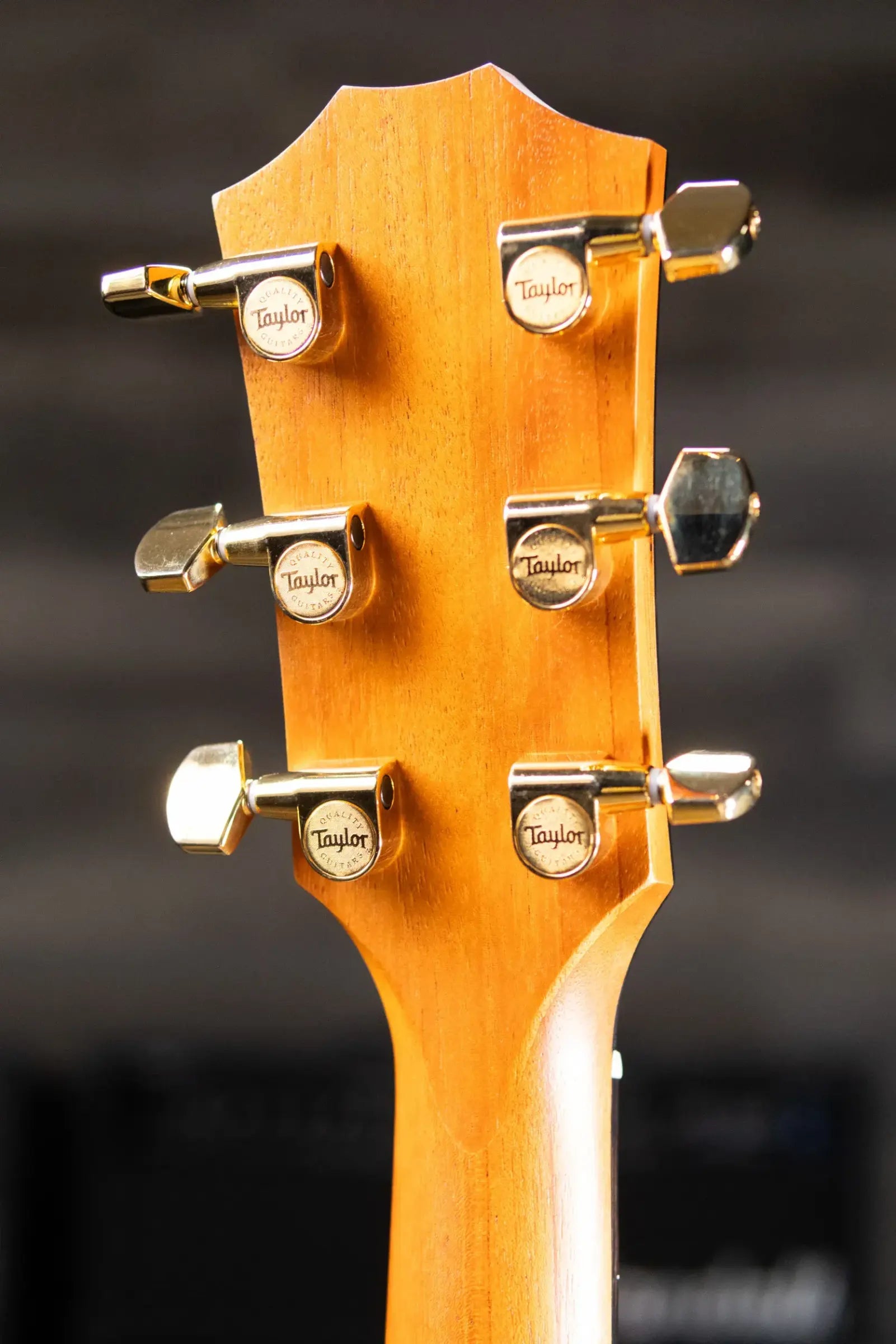 Taylor 214ce DLX Sunset Blvd Grand Auditorium Acoustic/Electric Guitar - Sepia Burst with Hardshell Case - Prototype