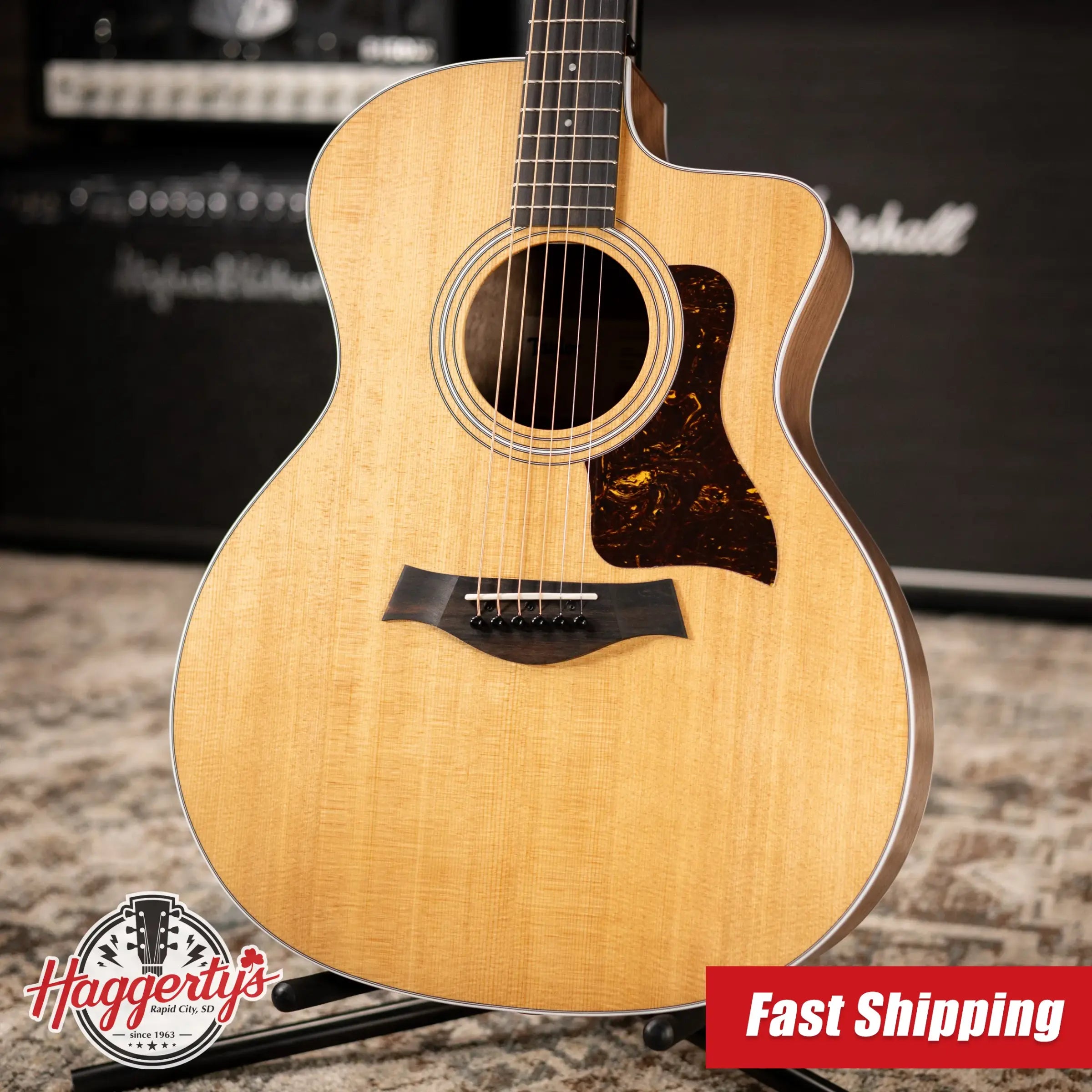 Taylor 214ce Grand Auditorium Acoustic/Electric Guitar with Gig Bag
