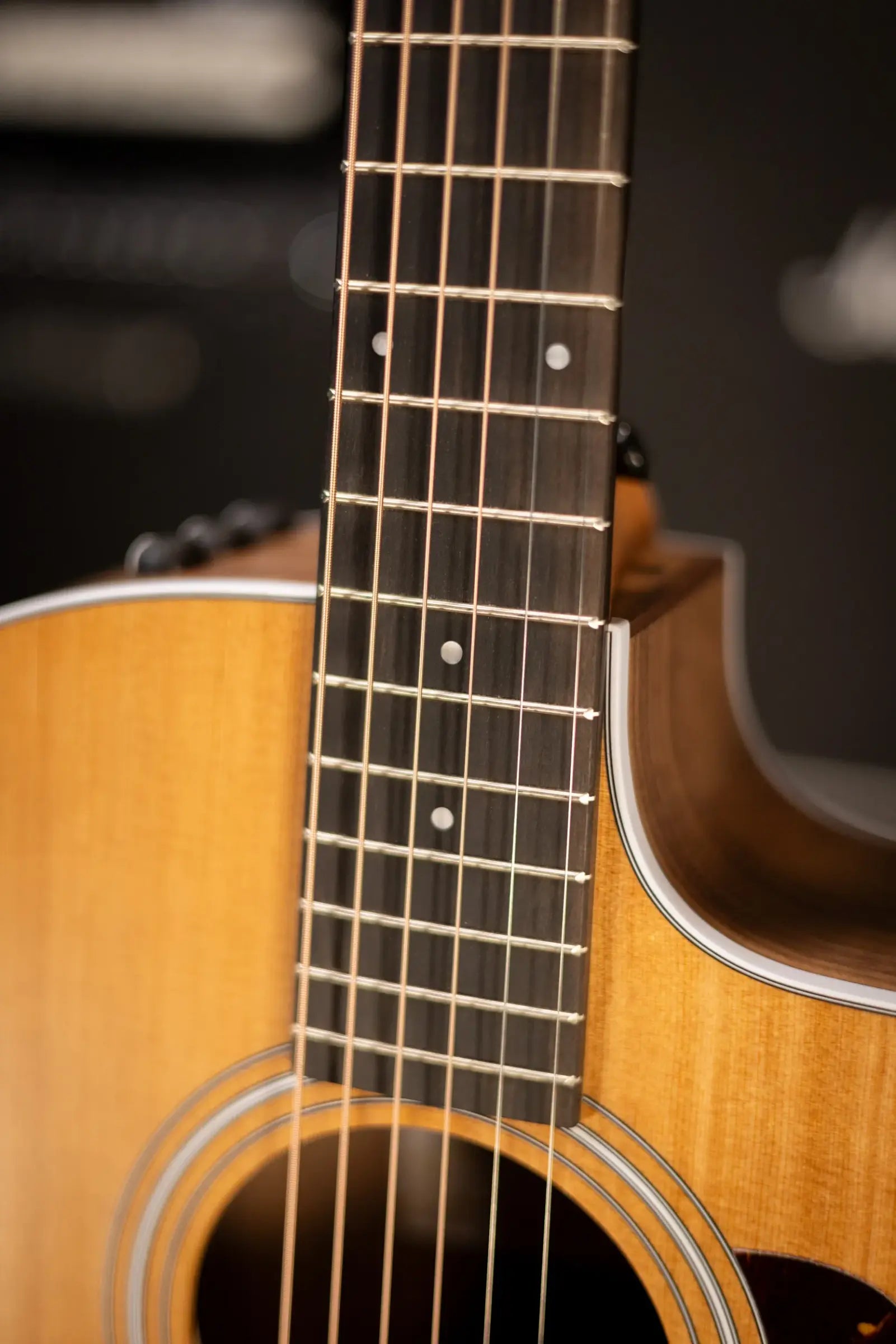 Taylor 214ce Grand Auditorium Acoustic/Electric Guitar with Gig Bag