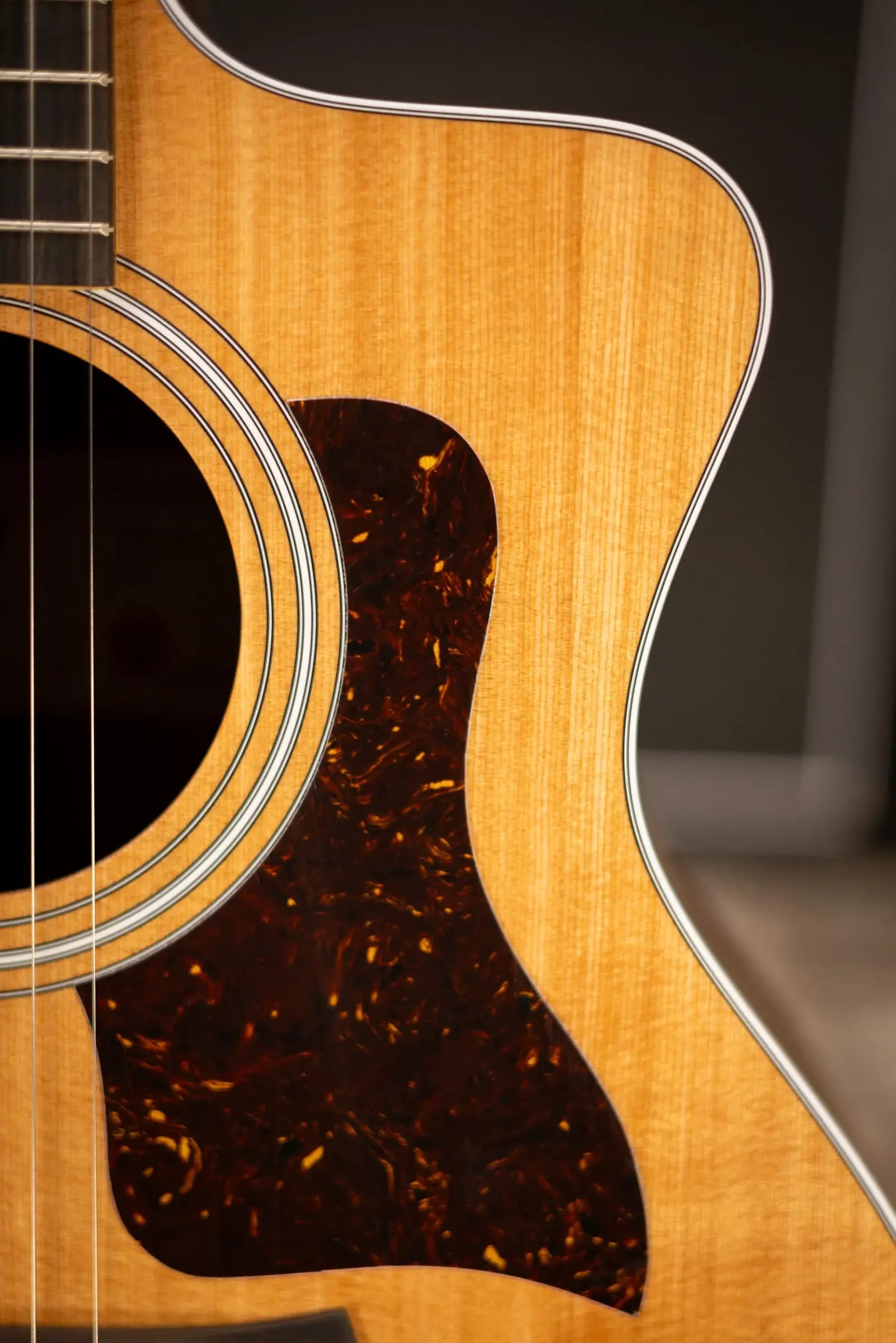 Taylor 214ce Grand Auditorium Acoustic/Electric Guitar with Gig Bag