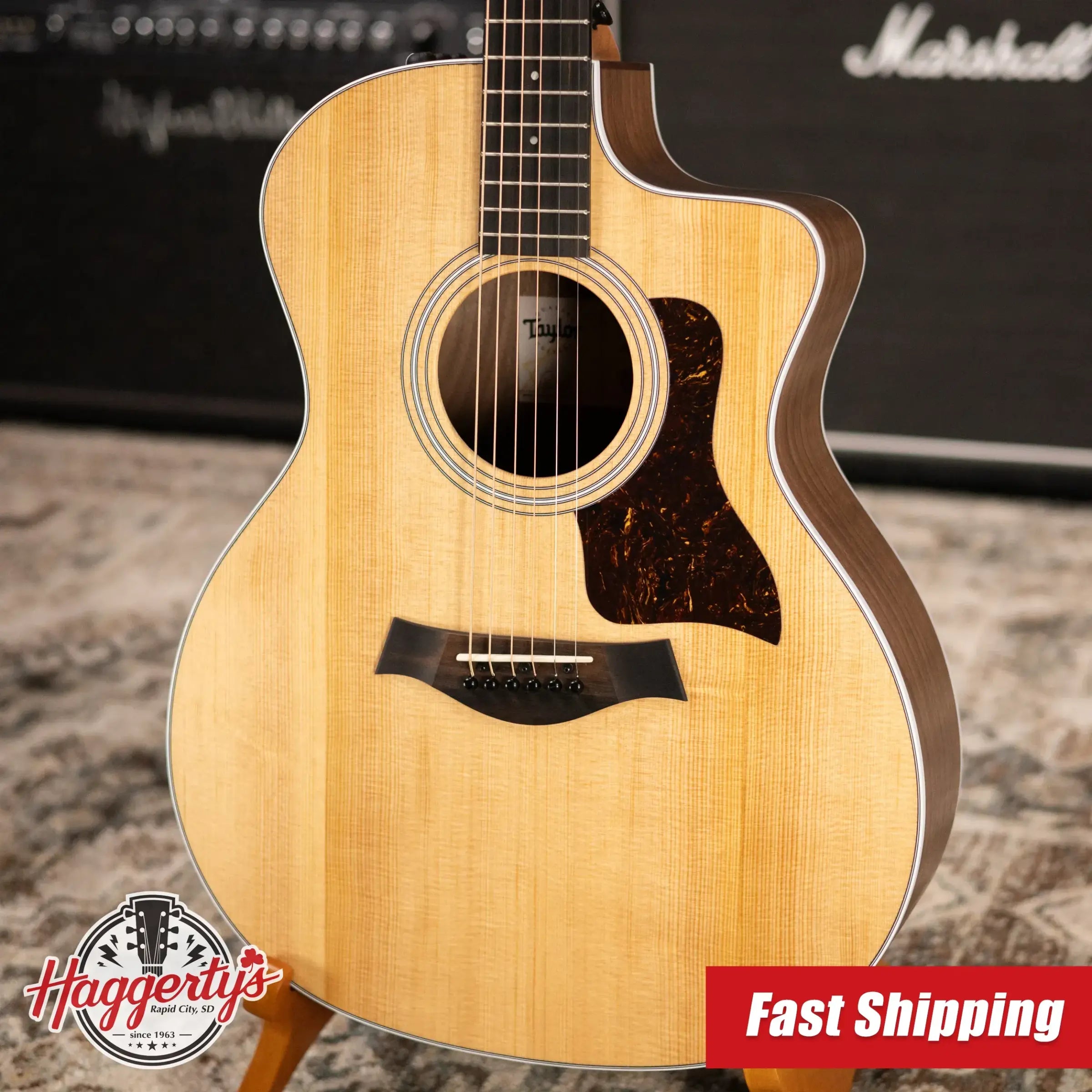 Taylor 214ce Grand Auditorium Acoustic/Electric Guitar with Gig Bag