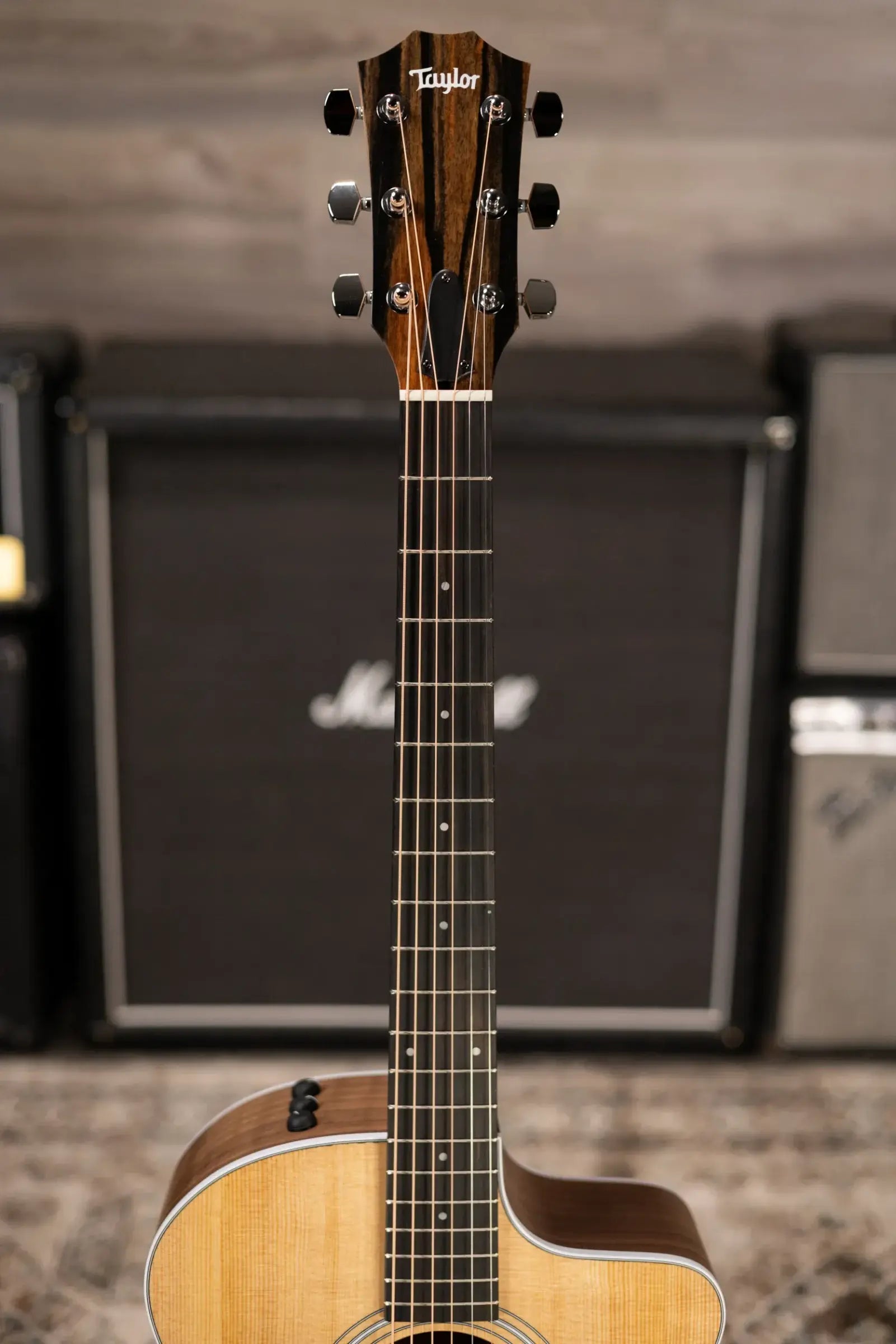 Taylor 214ce Grand Auditorium Acoustic/Electric Guitar with Gig Bag