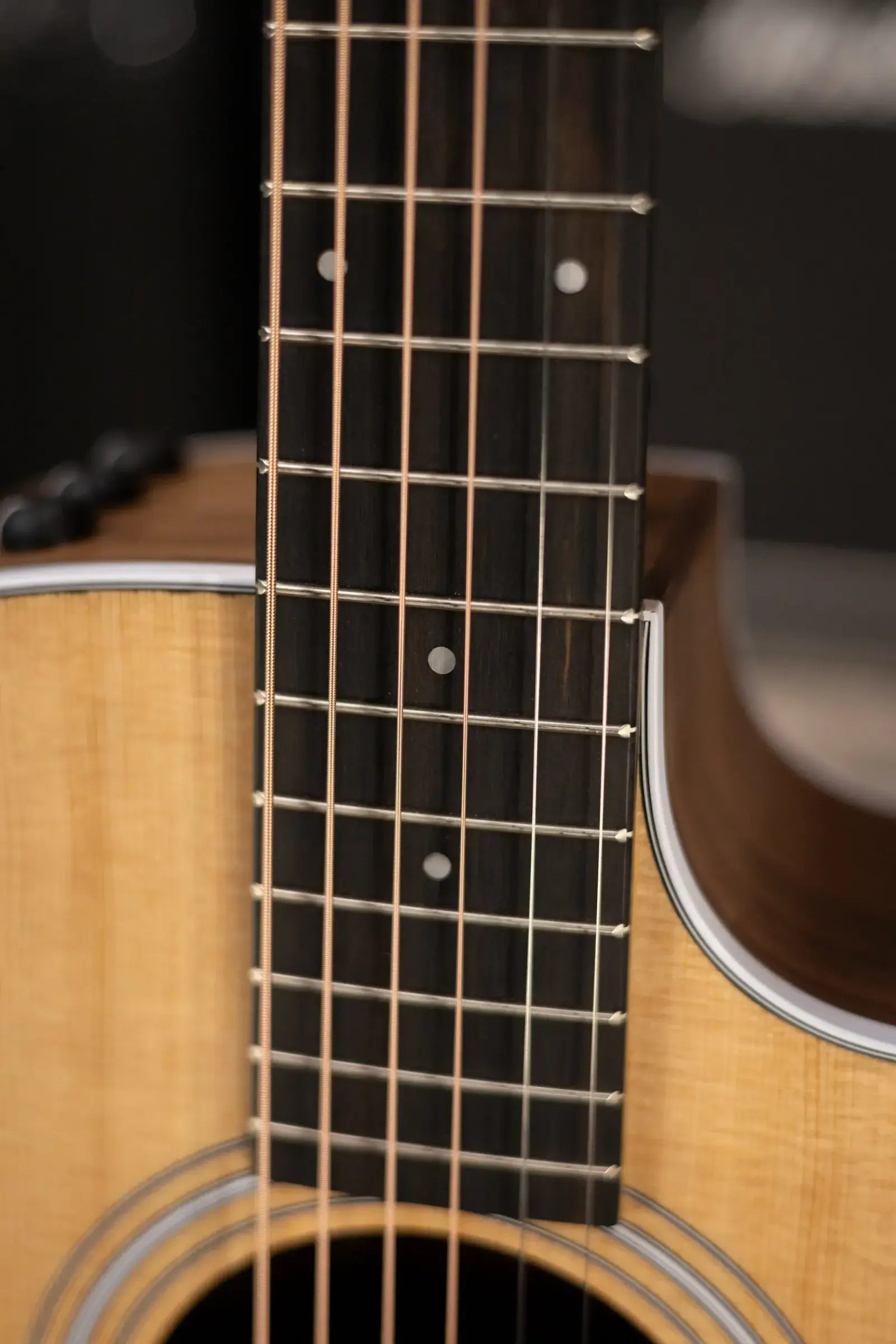 Taylor 214ce Grand Auditorium Acoustic/Electric Guitar with Gig Bag