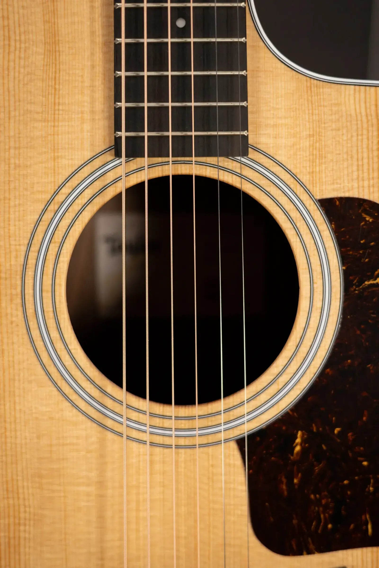 Taylor 214ce Grand Auditorium Acoustic/Electric Guitar with Gig Bag