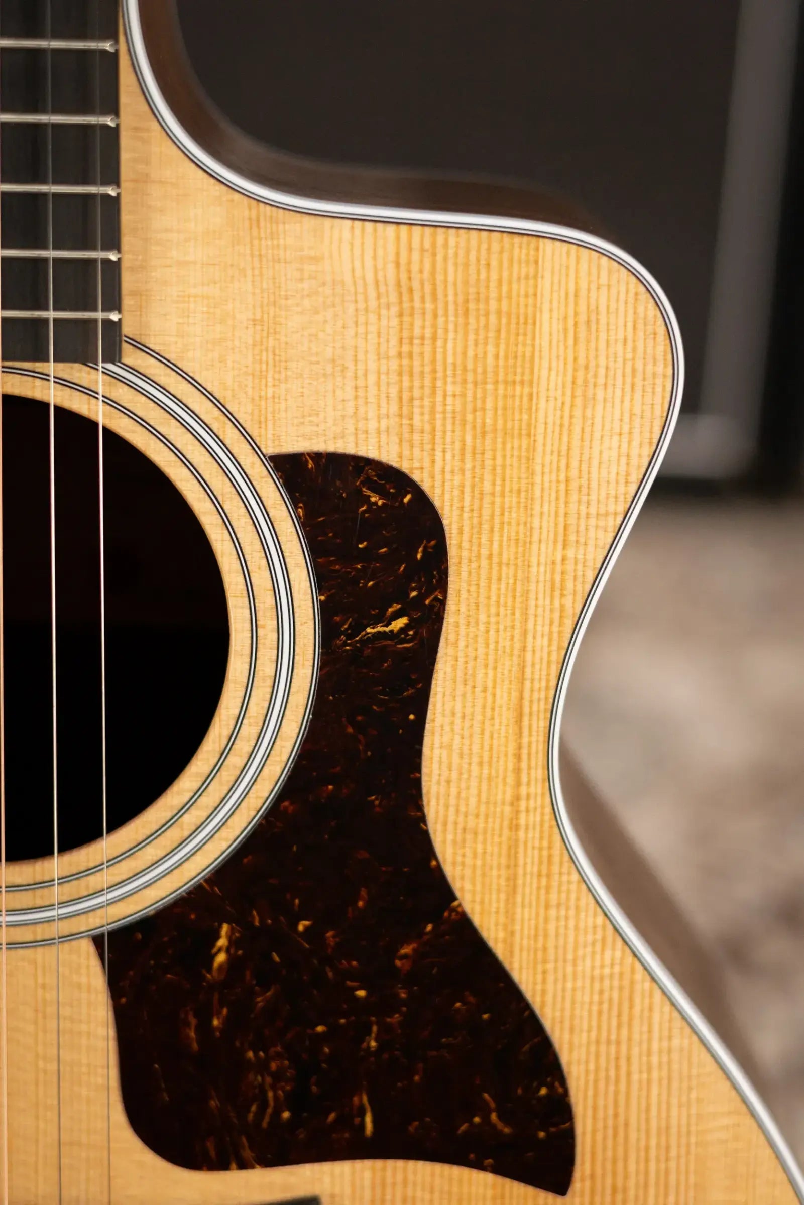Taylor 214ce Grand Auditorium Acoustic/Electric Guitar with Gig Bag