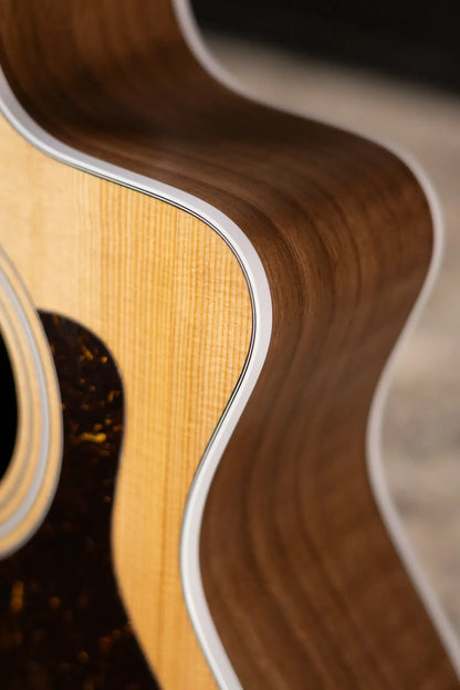 Taylor 214ce Grand Auditorium Acoustic/Electric Guitar with Gig Bag
