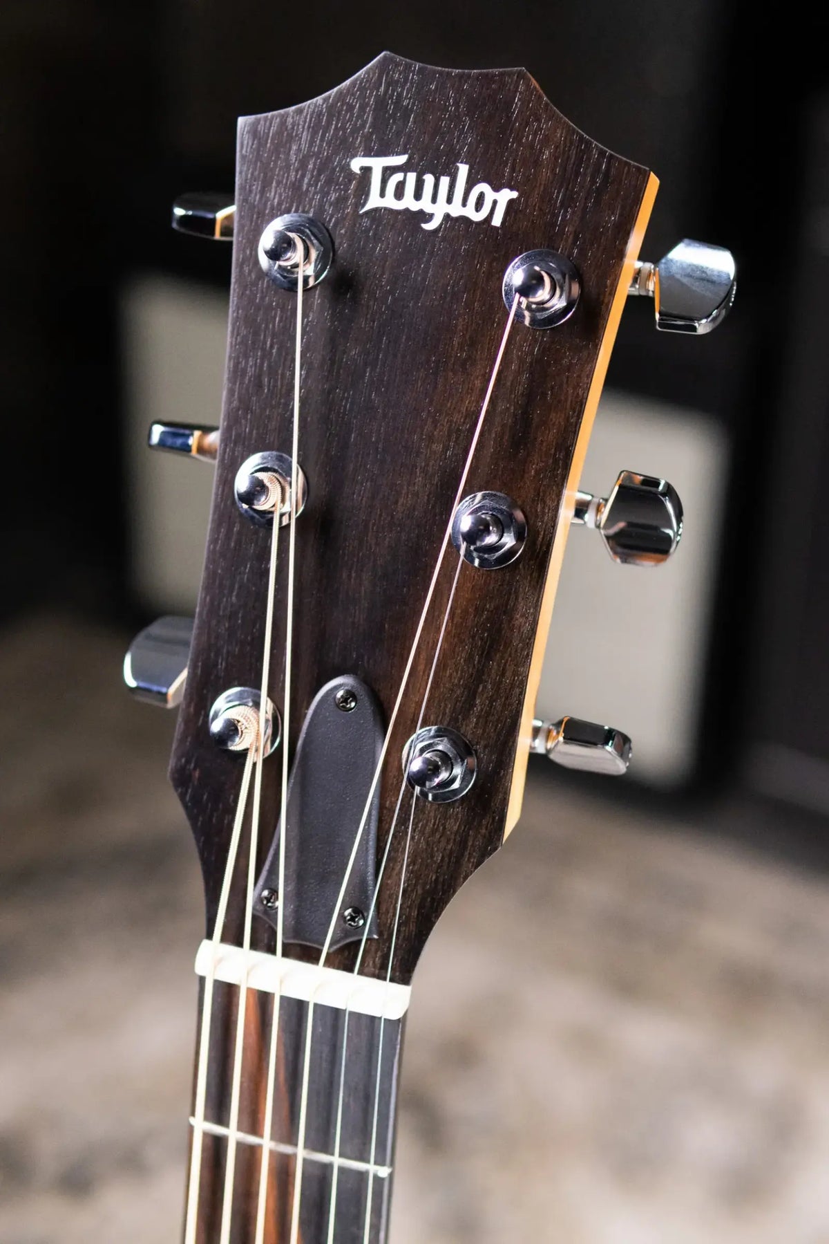 Taylor 214ce Grand Auditorium Acoustic/Electric Guitar with Gig Bag