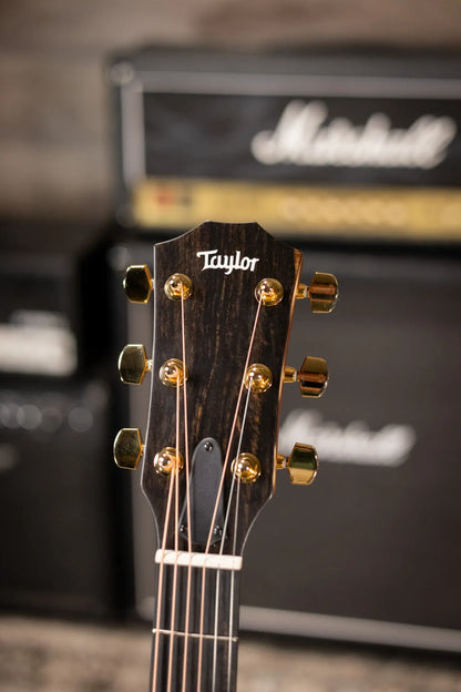 Taylor 214ce-K DLX Special Edition Grand Auditorium Acoustic/Electric Guitar - Honeyburst with Hardshell Case - Demo