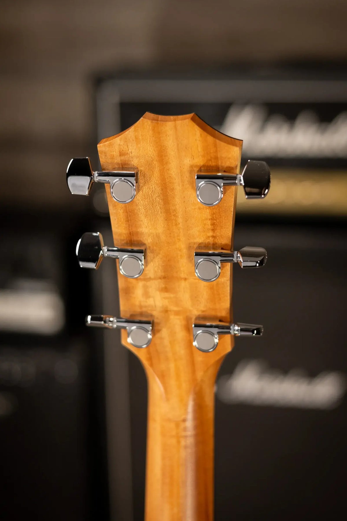 Taylor 214ce-K Left-Handed Grand Auditorium Acoustic/Electric Guitar - Natural with Gig Bag - Demo