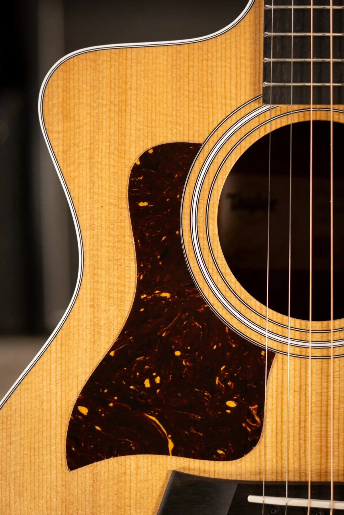 Taylor 214ce-K Left-Handed Grand Auditorium Acoustic/Electric Guitar - Natural with Gig Bag - Demo