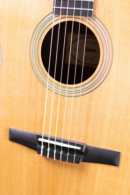 Taylor 214ce-N Nylon Grand Auditorium Acoustic/Electric Guitar with Gig Bag