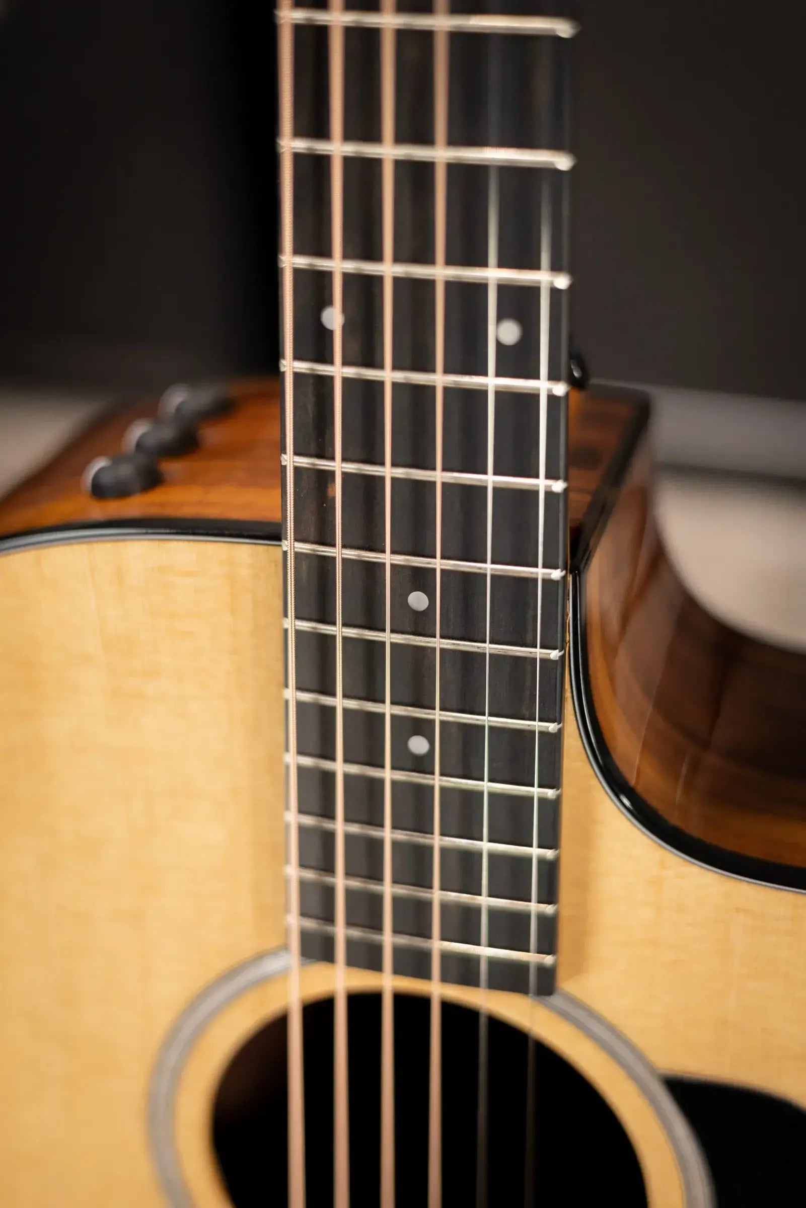 Taylor 214ce Plus Grand Auditorium Acoustic/Electric Guitar with Gig Bag