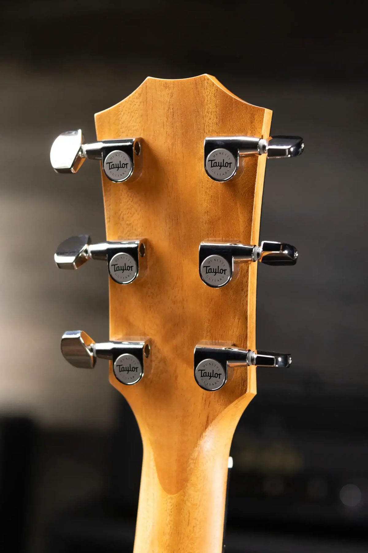 Taylor 214ce Plus Grand Auditorium Acoustic/Electric Guitar with Aerocase