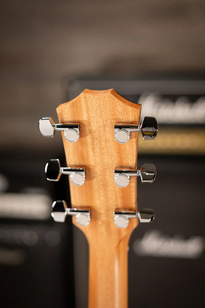 Taylor 214ce Special Edition Grand Auditorium Acoustic/Electric Guitar - Honeyburst with Gig Bag - Demo