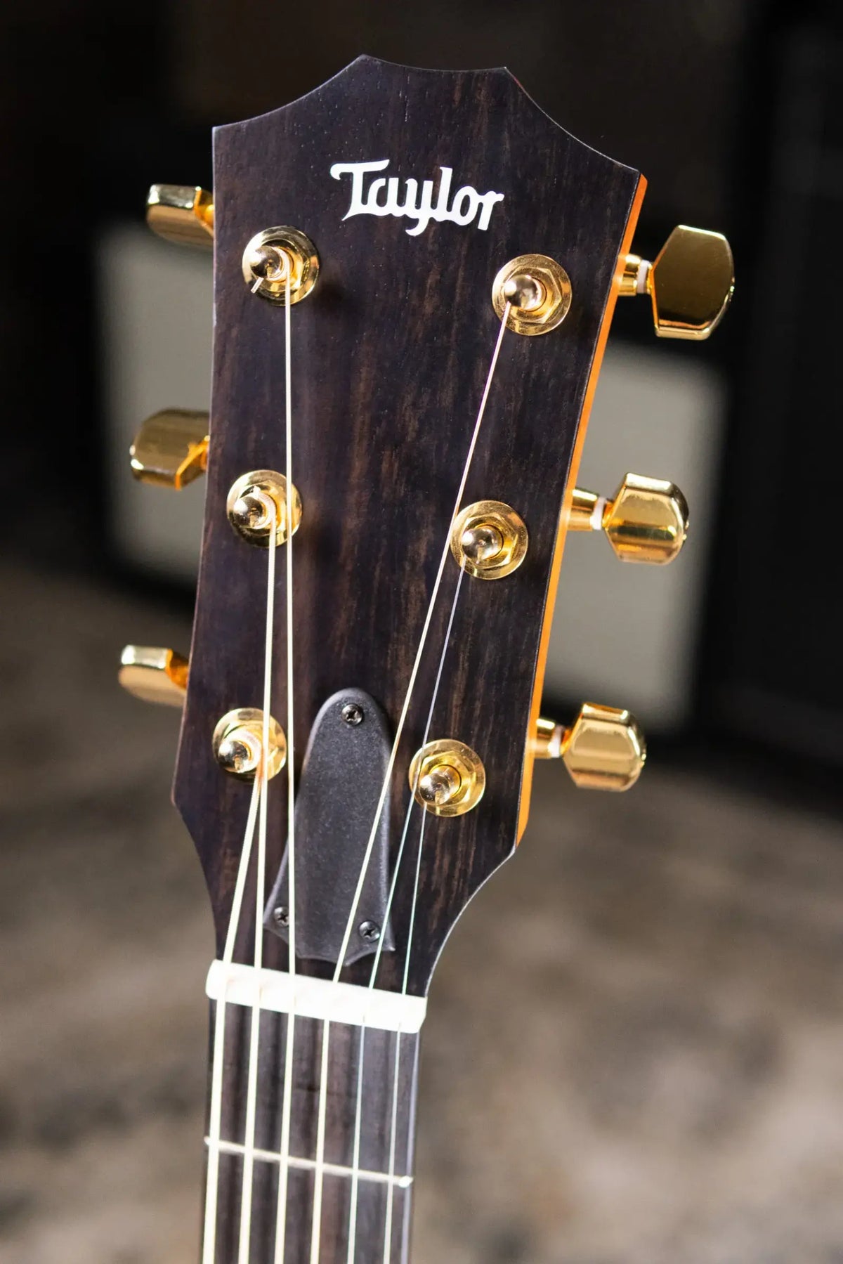 Taylor 214ce Sunset Blvd Grand Auditorium Acoustic/Electric Guitar - Sepia Burst with Gig Bag - Prototype