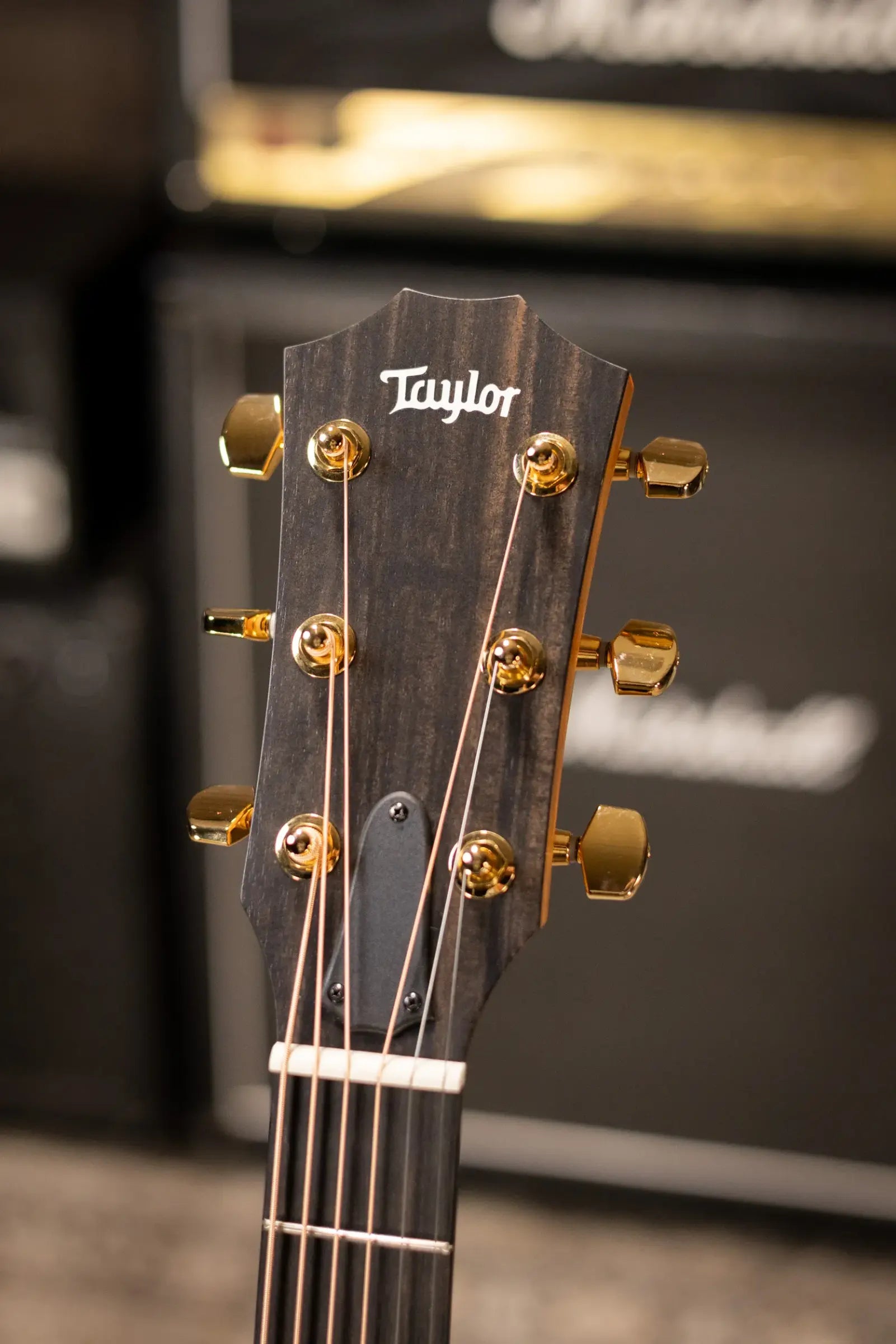 Taylor 224ce-K DLX Grand Auditorium Acoustic/Electric Guitar with Hardshell Case