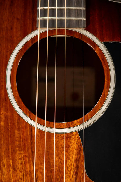 Taylor 224ce-K DLX Grand Auditorium Acoustic/Electric Guitar with Hardshell Case