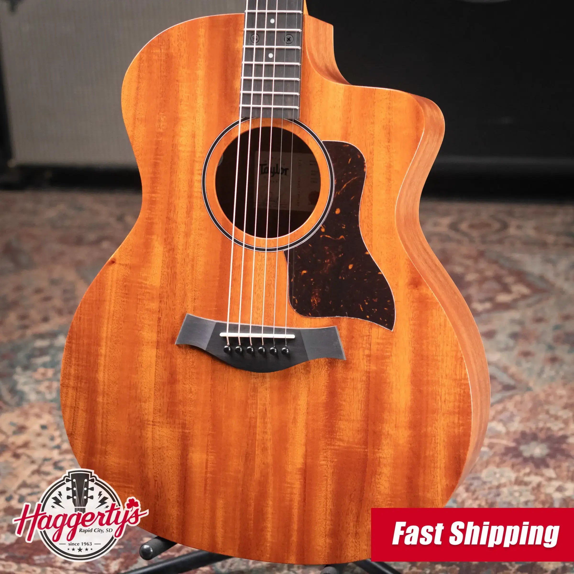 Taylor 24ce Grand Auditorium Acoustic-Electric Guitar with Gig Bag