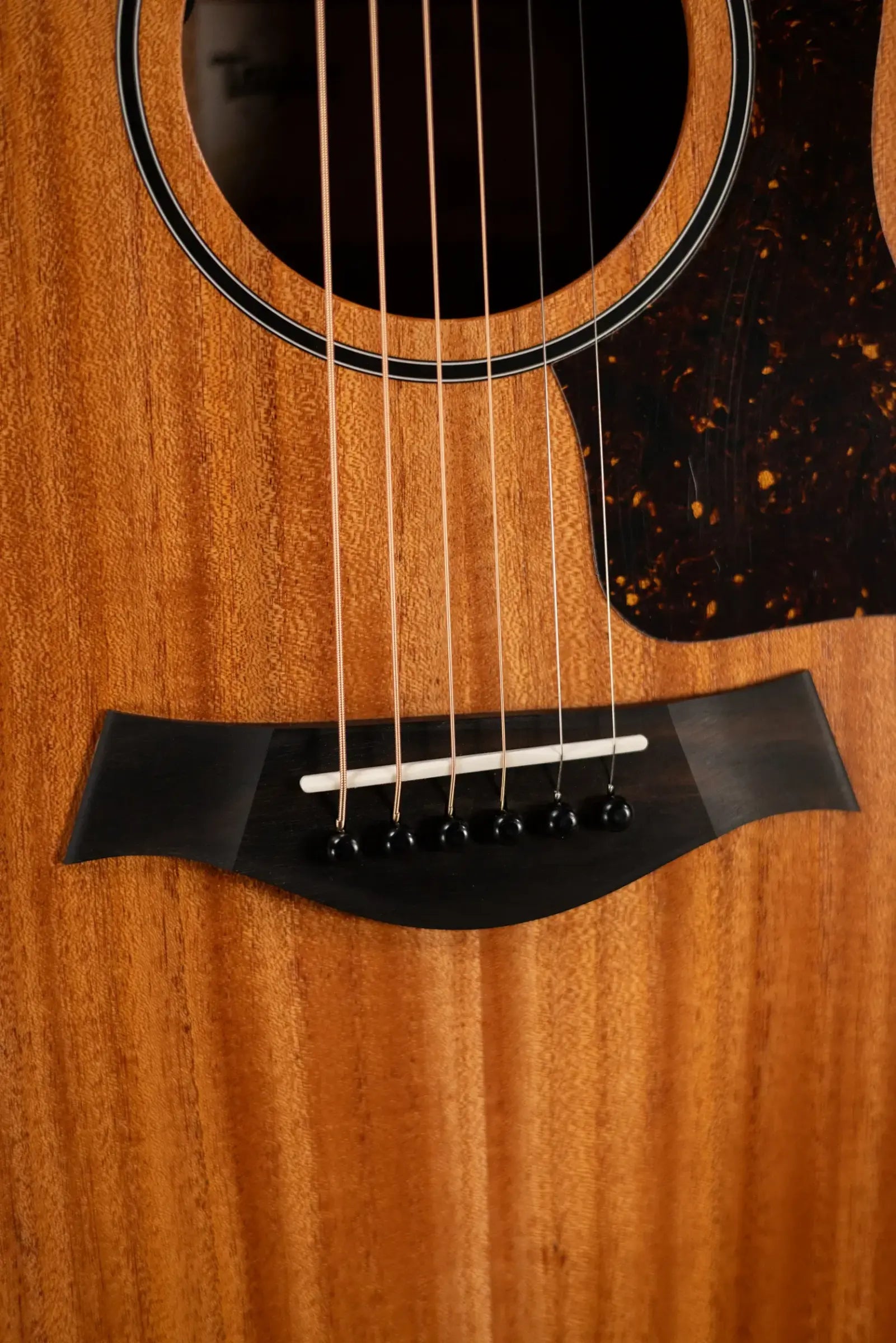 Taylor 24ce Grand Auditorium Acoustic/Electric Guitar with Gig Bag