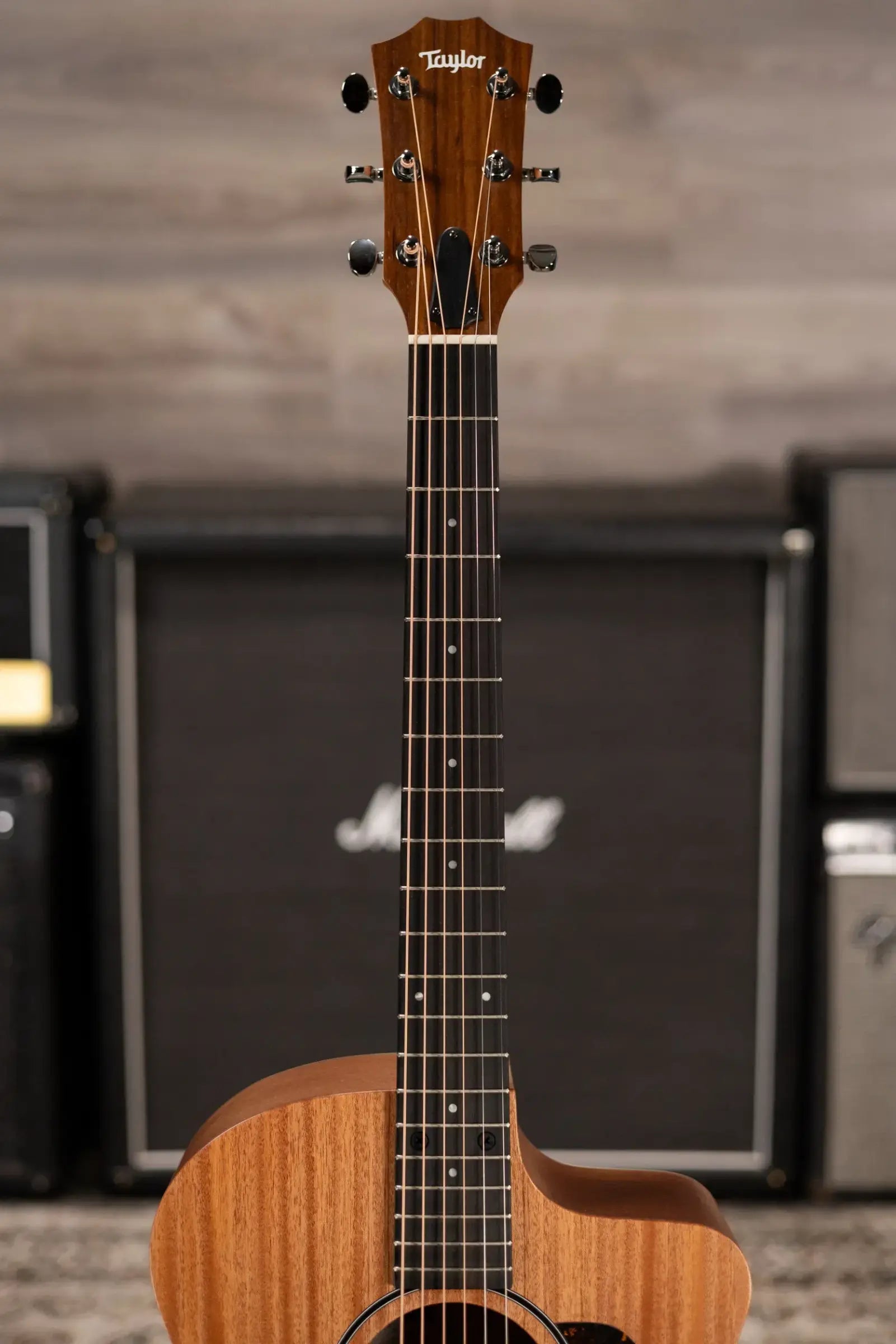 Taylor 24ce Grand Auditorium Acoustic/Electric Guitar with Gig Bag