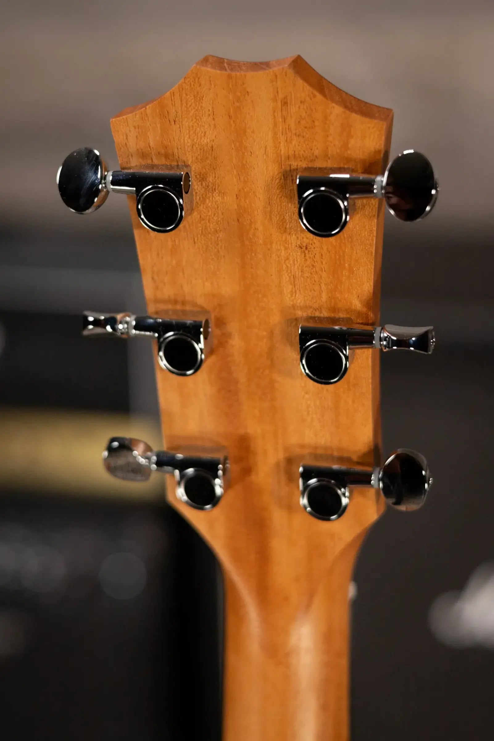Taylor 24ce Grand Auditorium Acoustic/Electric Guitar with Gig Bag