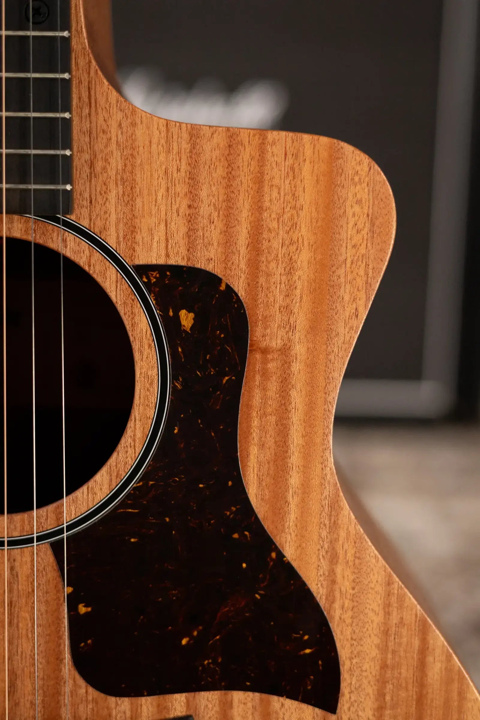 Taylor 24ce Grand Auditorium Acoustic/Electric Guitar with Gig Bag