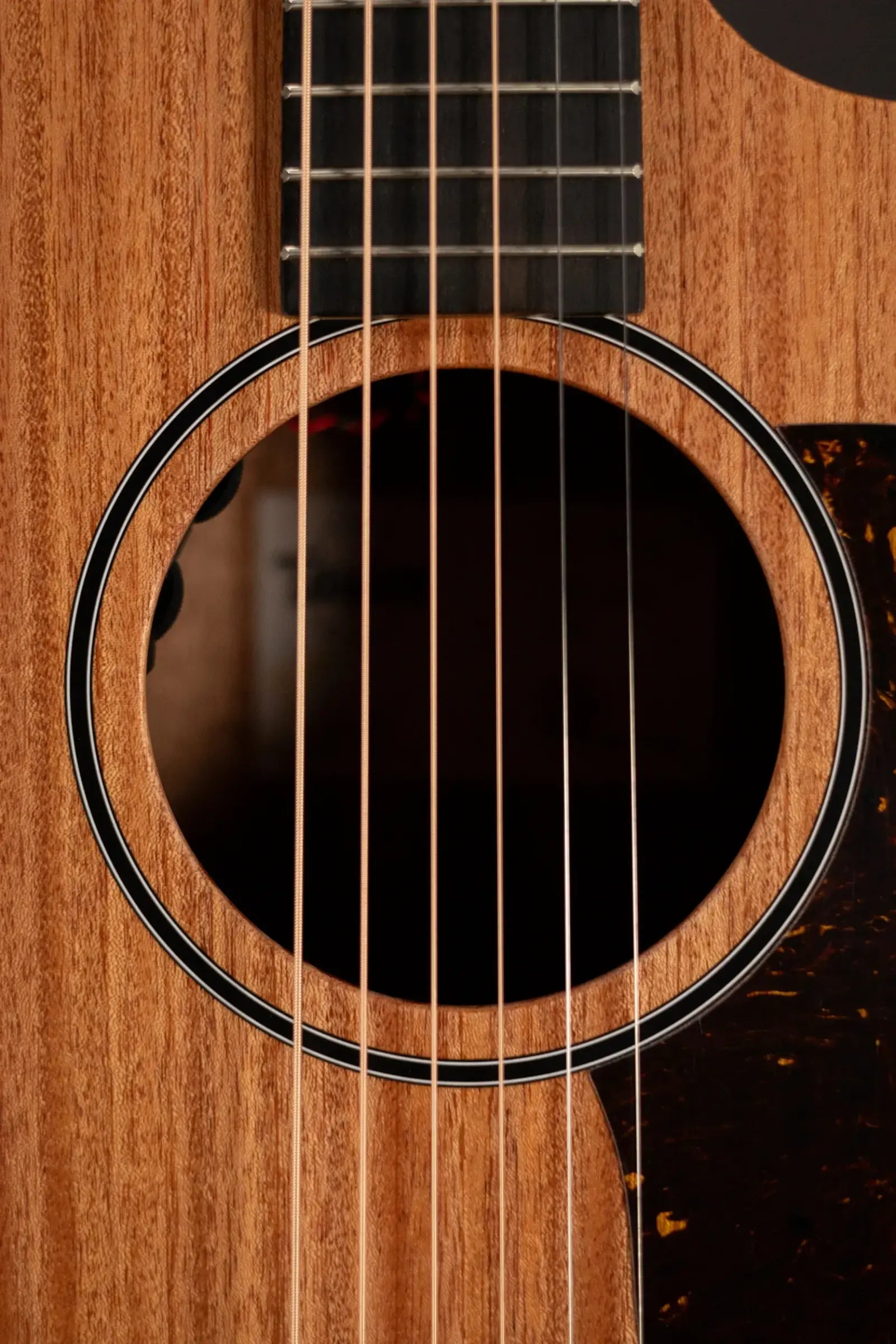 Taylor 24ce Grand Auditorium Acoustic/Electric Guitar with Gig Bag
