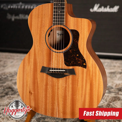 Taylor 24ce Grand Auditorium Acoustic-Electric Guitar with Gig Bag