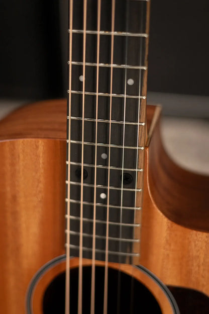 Taylor 24ce Grand Auditorium Acoustic-Electric Guitar with Gig Bag