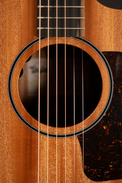 Taylor 24ce Grand Auditorium Acoustic-Electric Guitar with Gig Bag