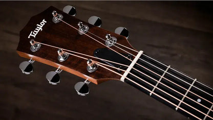 Taylor 24ce Grand Auditorium Acoustic/Electric Guitar with Gig Bag