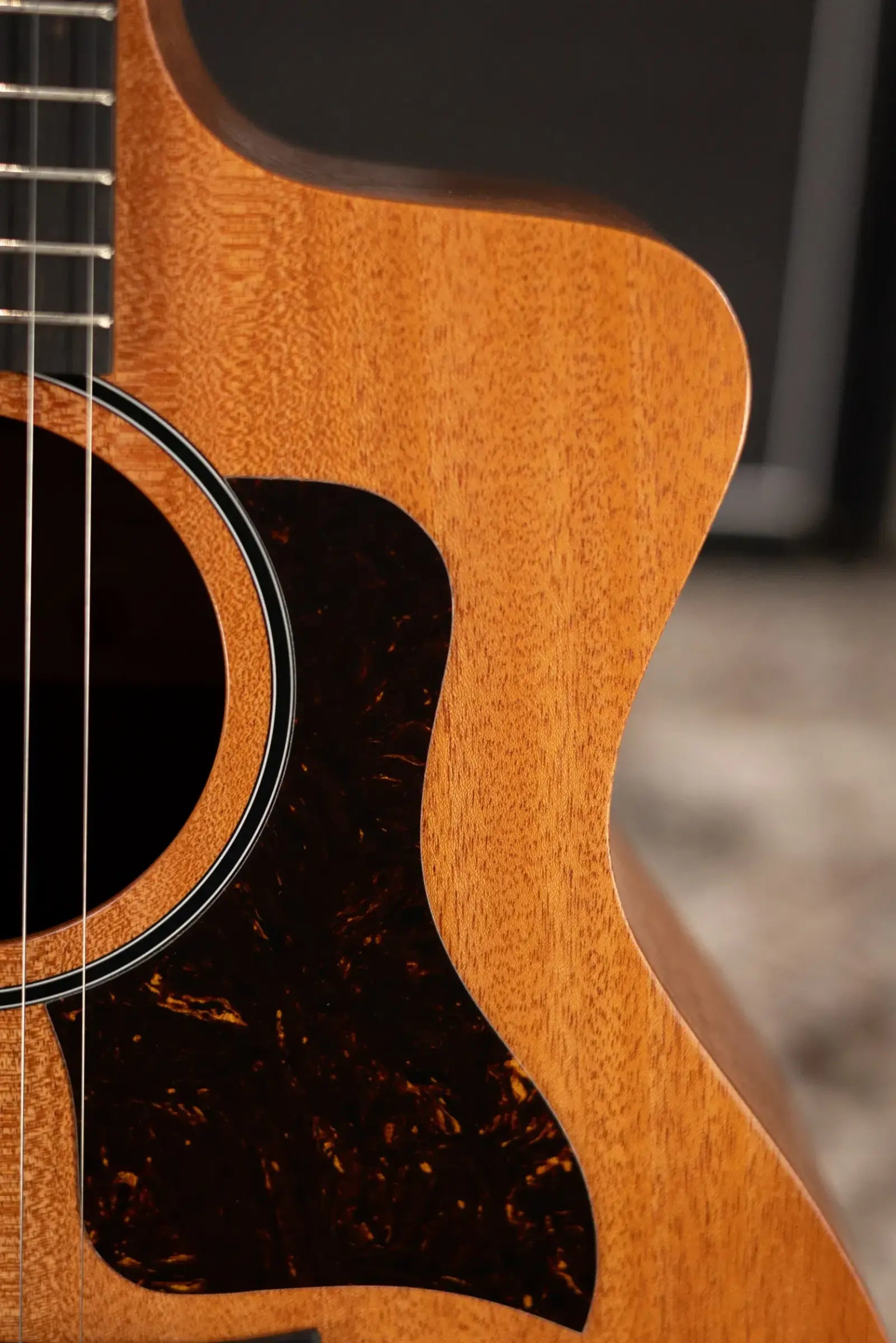 Taylor 24ce Grand Auditorium Acoustic/Electric Guitar with Gig Bag
