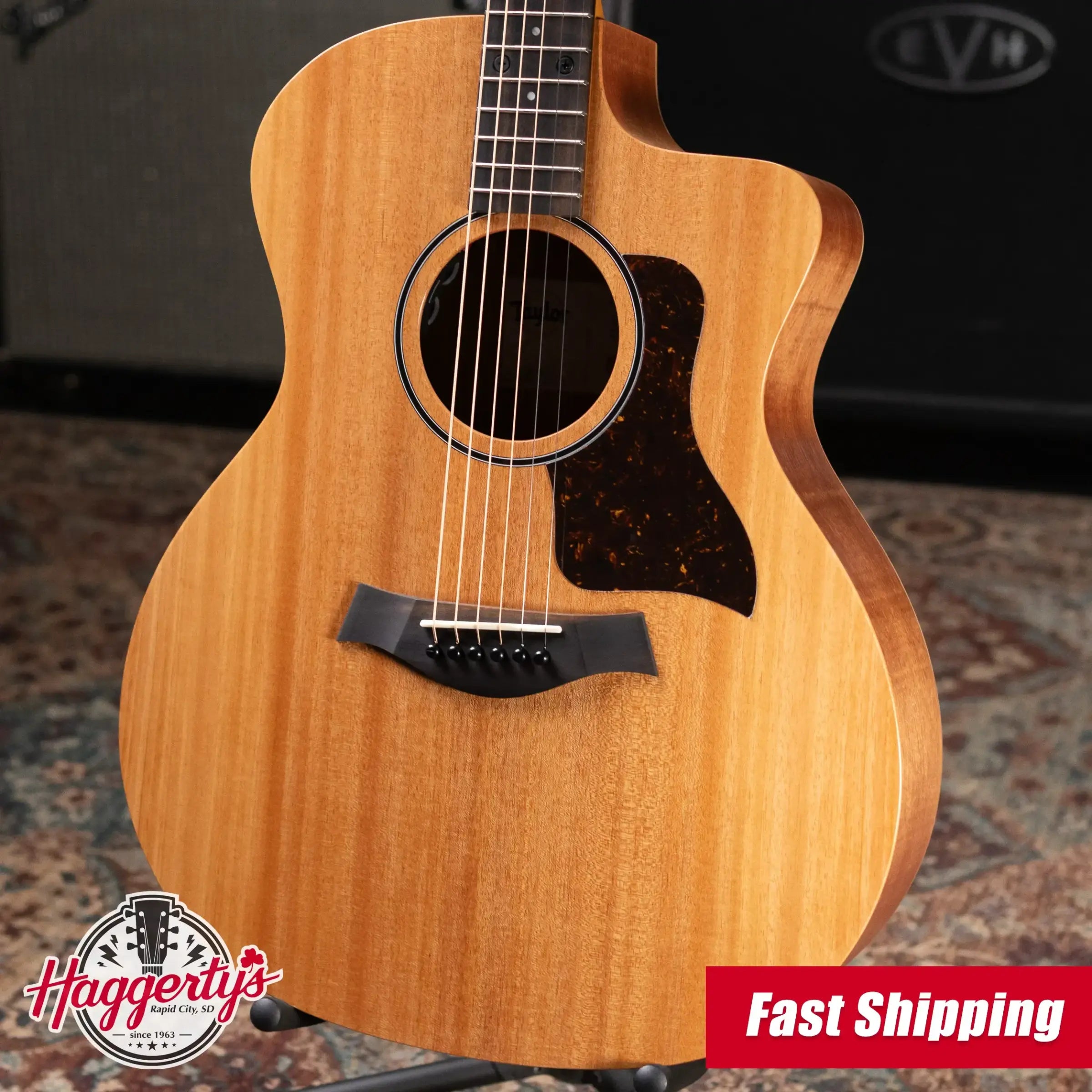 Taylor 24ce Grand Auditorium Acoustic/Electric Guitar with Gig Bag
