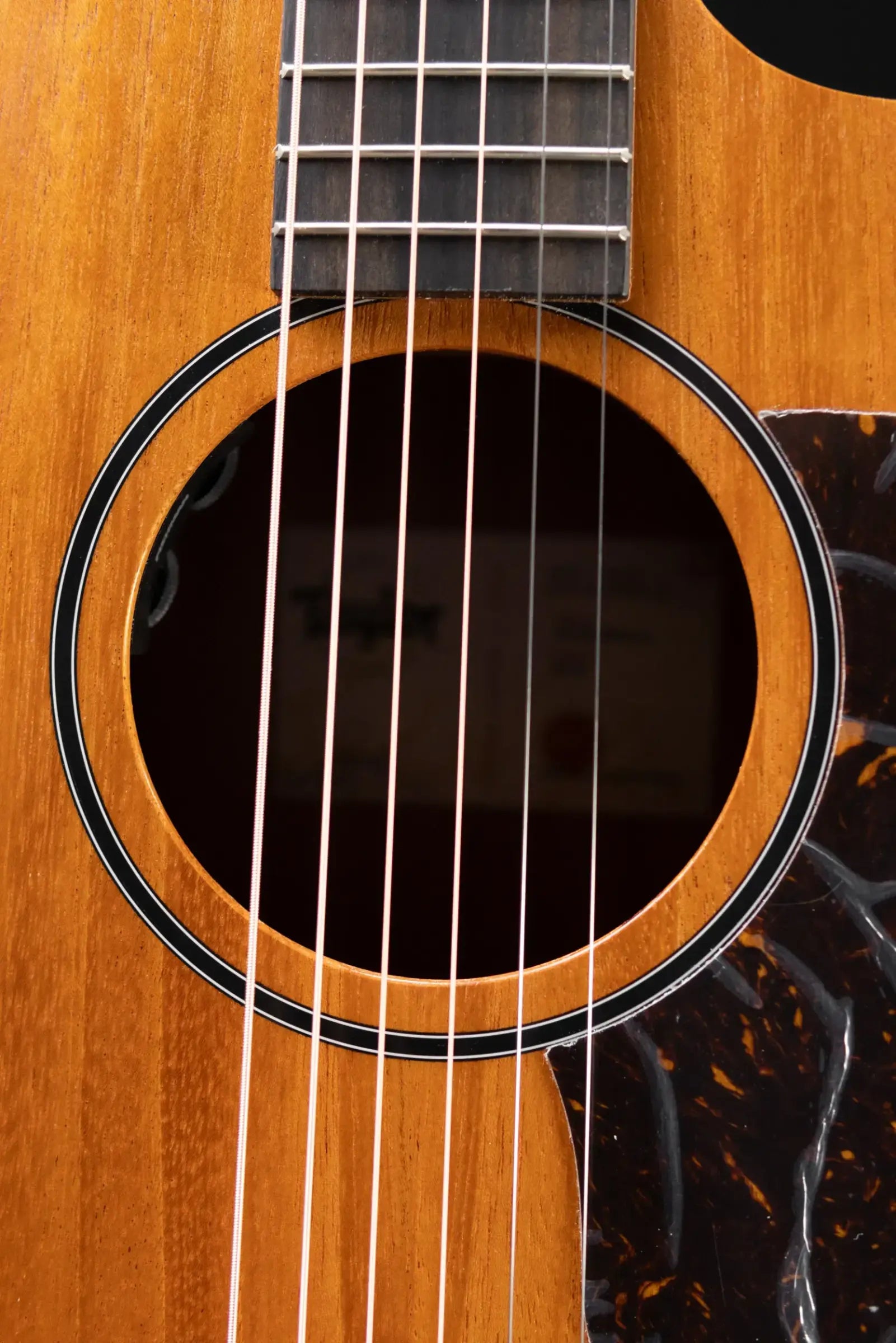Taylor 24ce Grand Auditorium Acoustic-Electric Guitar with Gig Bag - Floor Demo