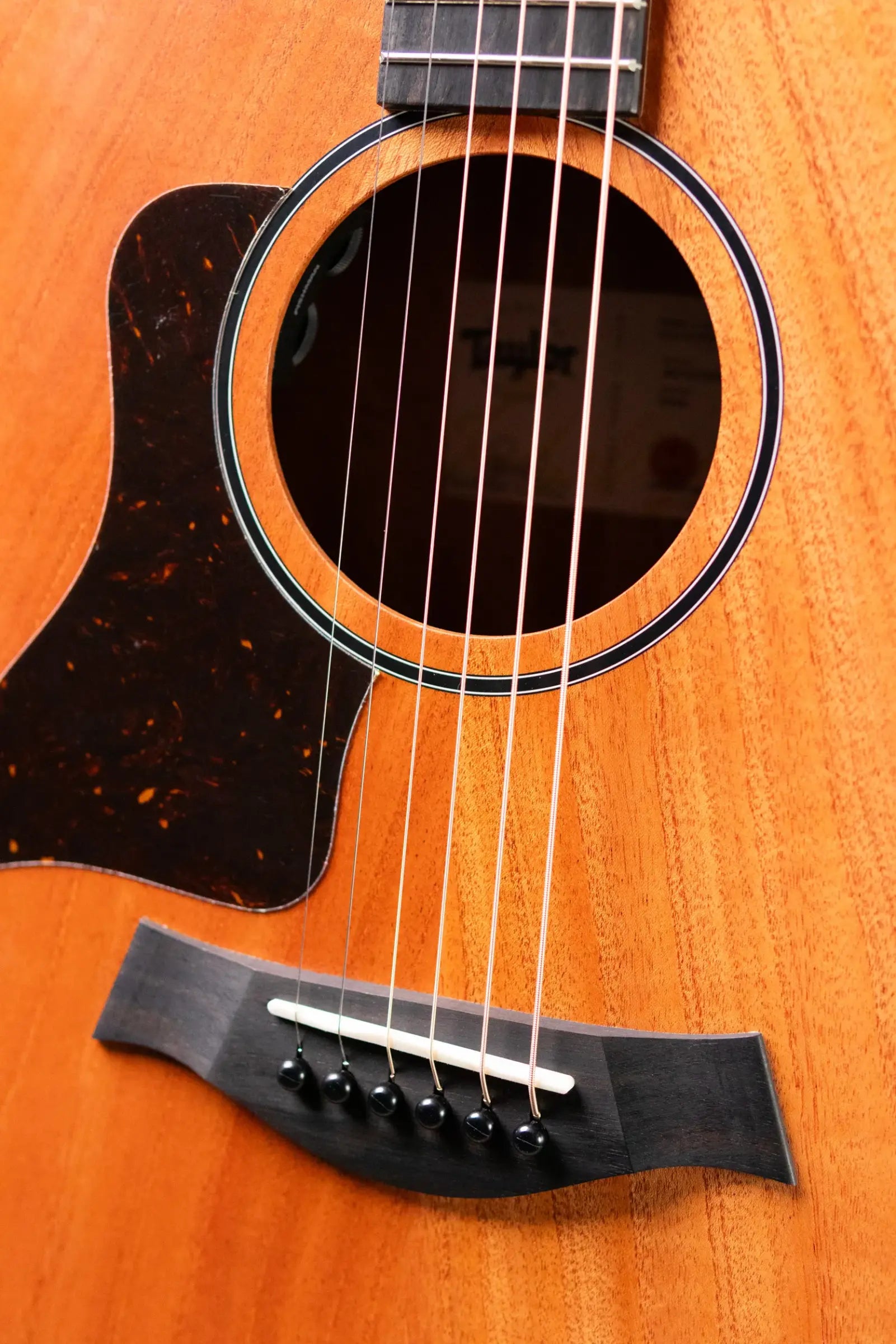 Taylor 24ce Left-Handed Grand Auditorium Acoustic/Electric Guitar with Gig Bag
