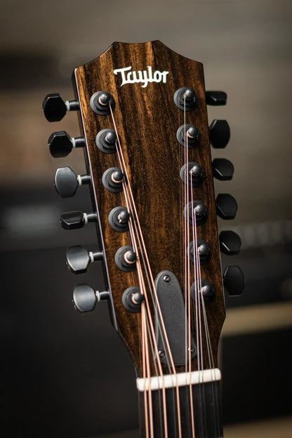 Taylor 250ce-BLK Plus 12-String Acoustic/Electric Guitar - Black with Aerocase - Factory Demo