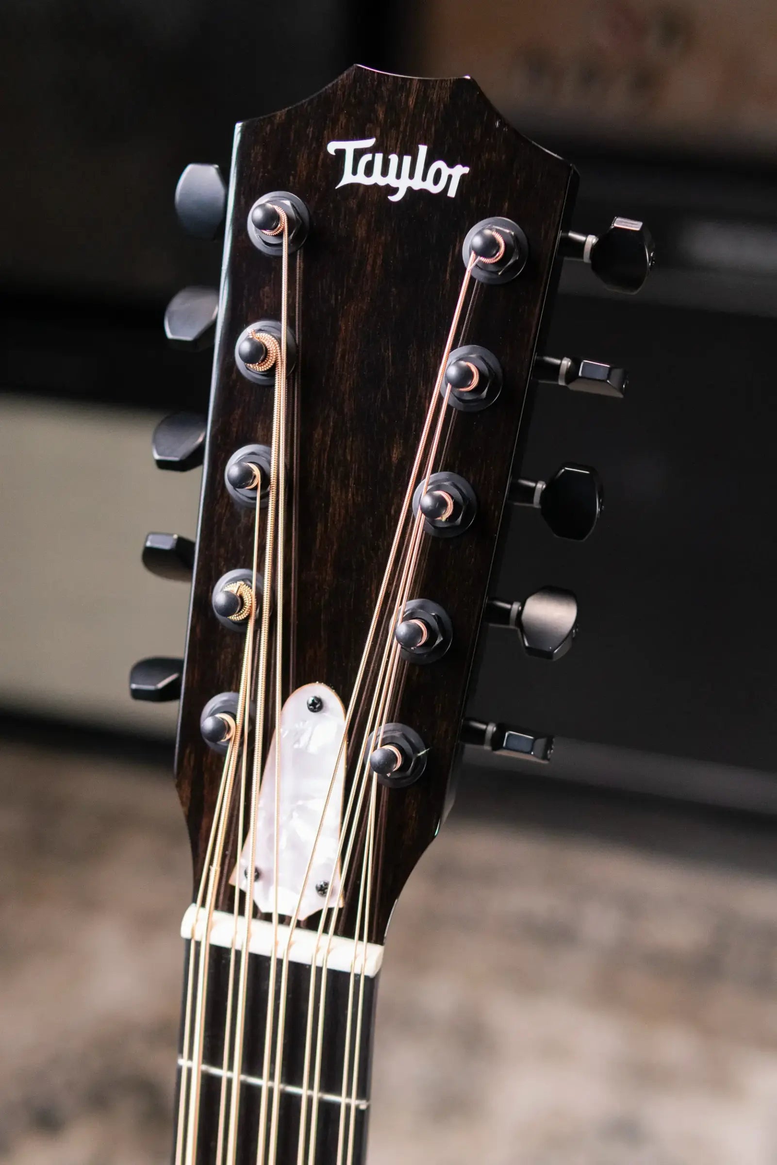 Taylor 250ce Plus BLK Bajo Quinto Acoustic/Electric Guitar - Black with Aerocase