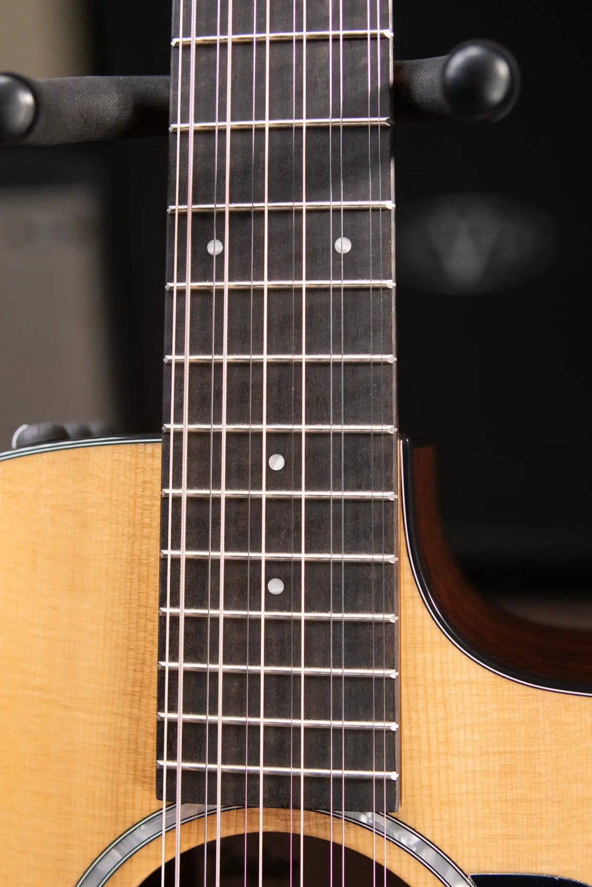 Taylor 254ce Plus 12-String Grand Auditorium Acoustic/Electric Guitar with Aerocase
