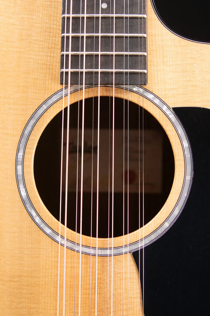 Taylor 254ce Plus 12-String Grand Auditorium Acoustic/Electric Guitar with Aerocase