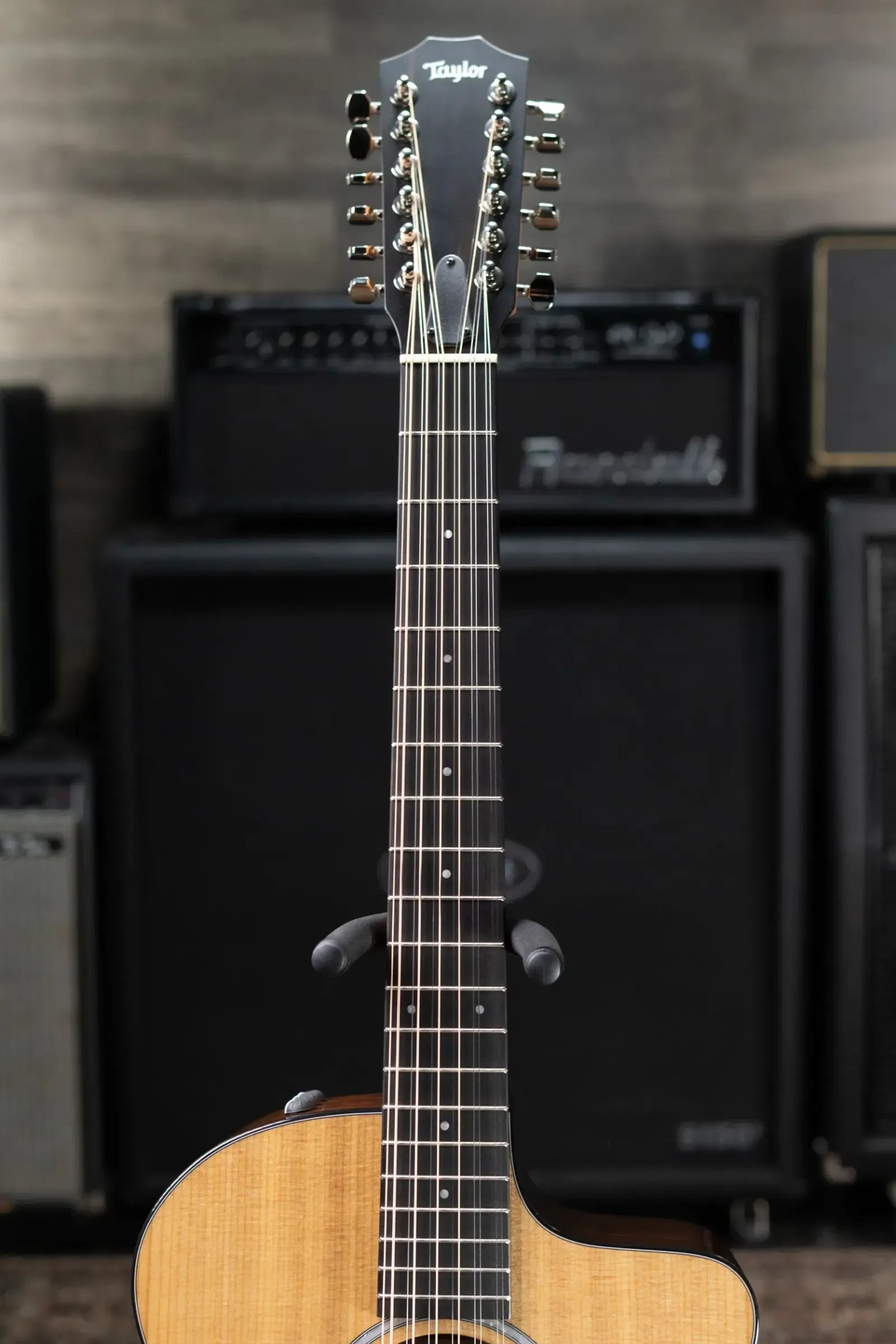 Taylor 254ce Plus 12-String Grand Auditorium Acoustic/Electric Guitar with Aerocase