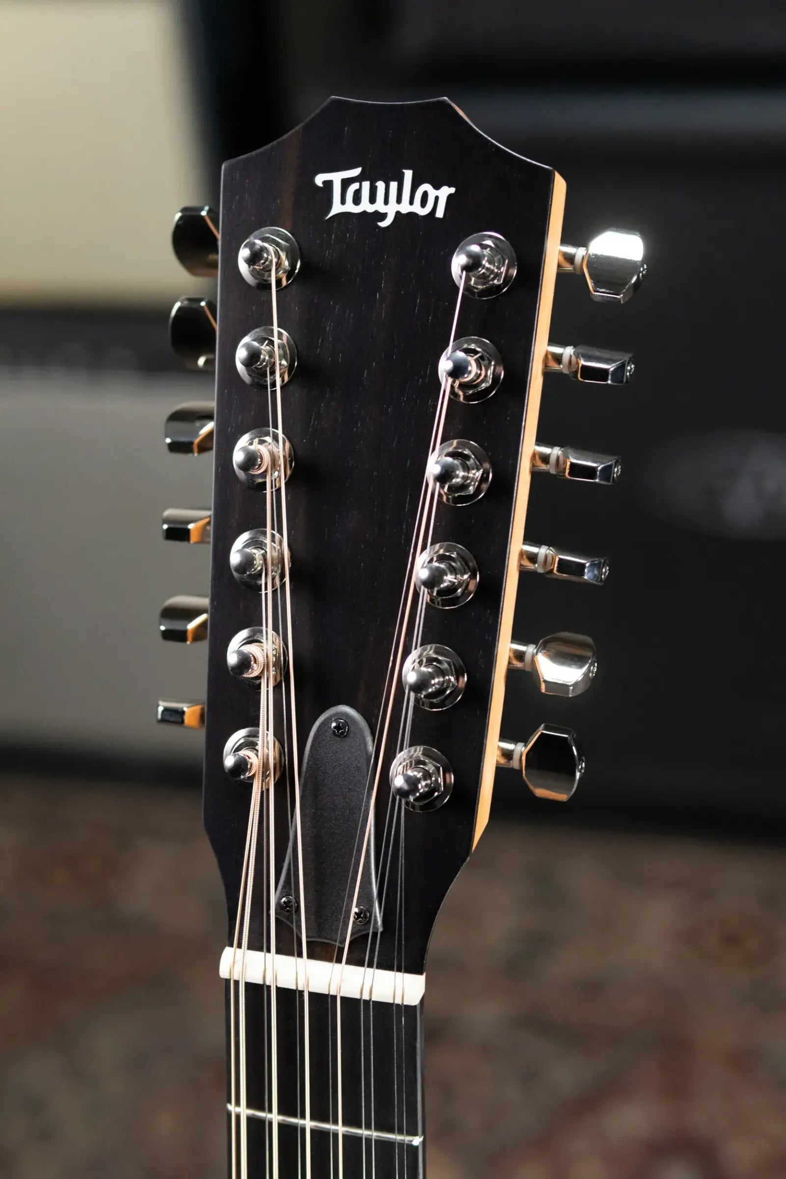 Taylor 254ce Plus 12-String Grand Auditorium Acoustic/Electric Guitar with Aerocase